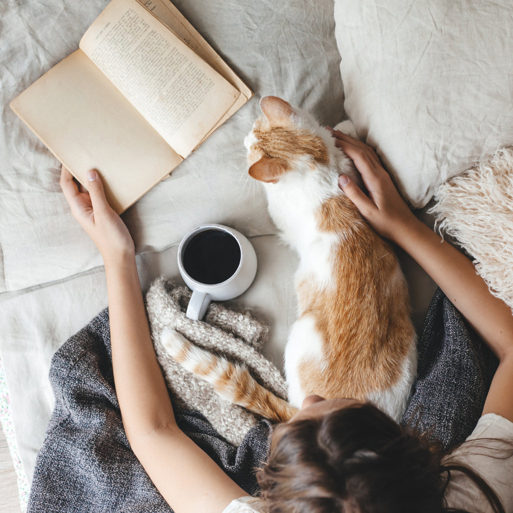 Can Cats Enjoy Autumn?